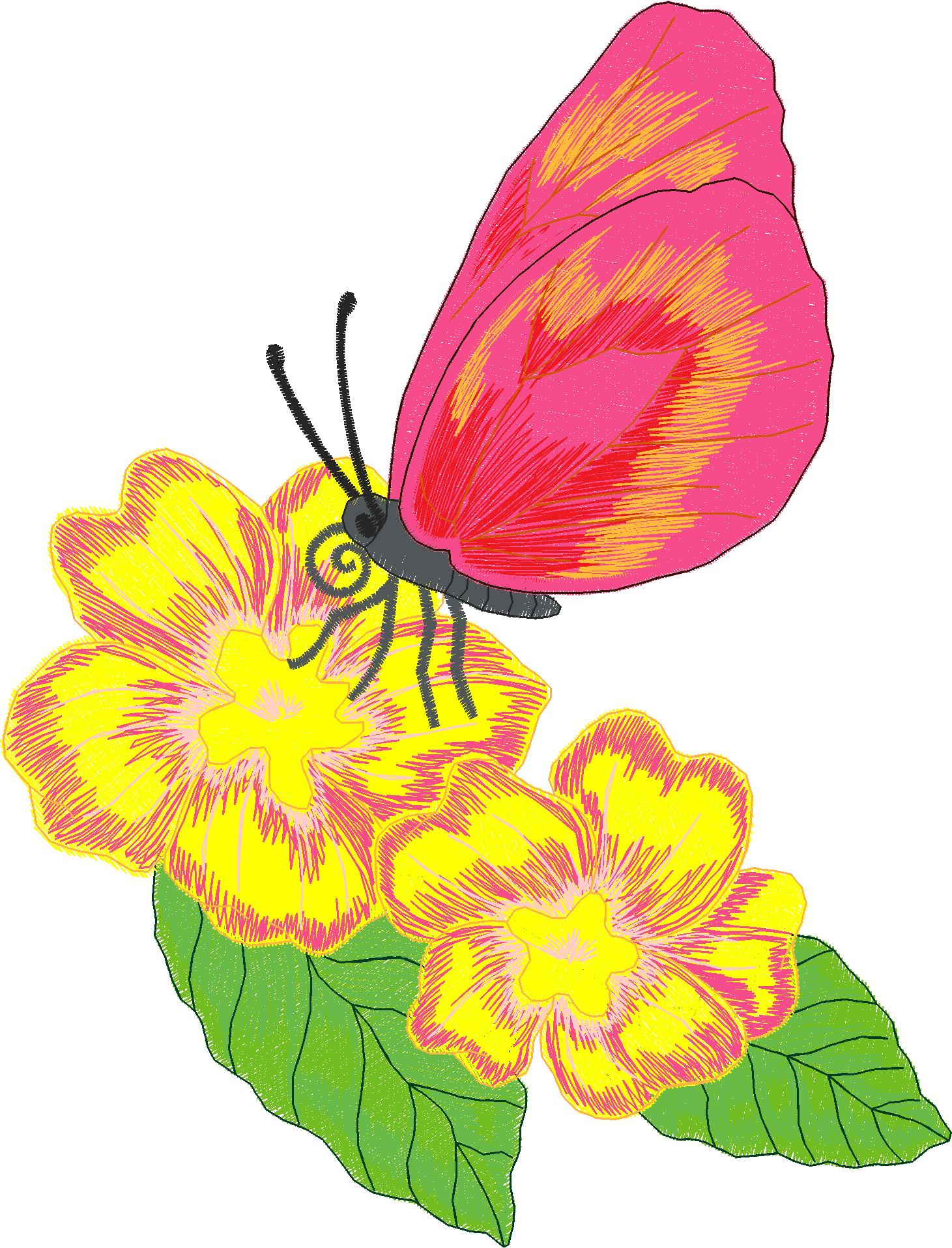 Butterflies 11  (3)