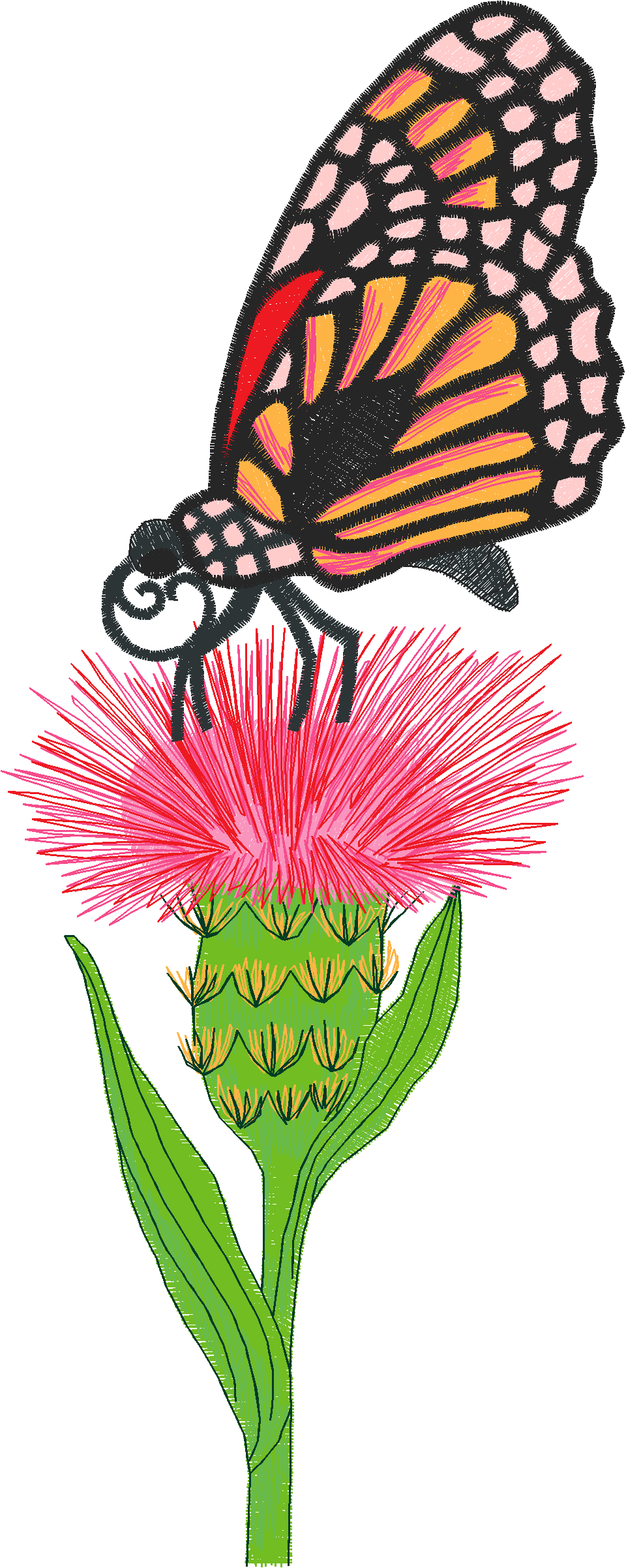 Butterflies 11  (9)#