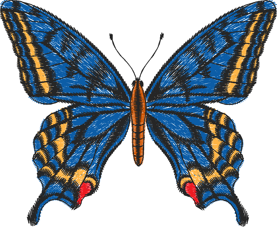 Butterflies 12  (1)
