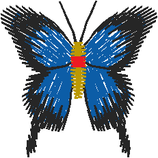 Butterflies 12  (11)
