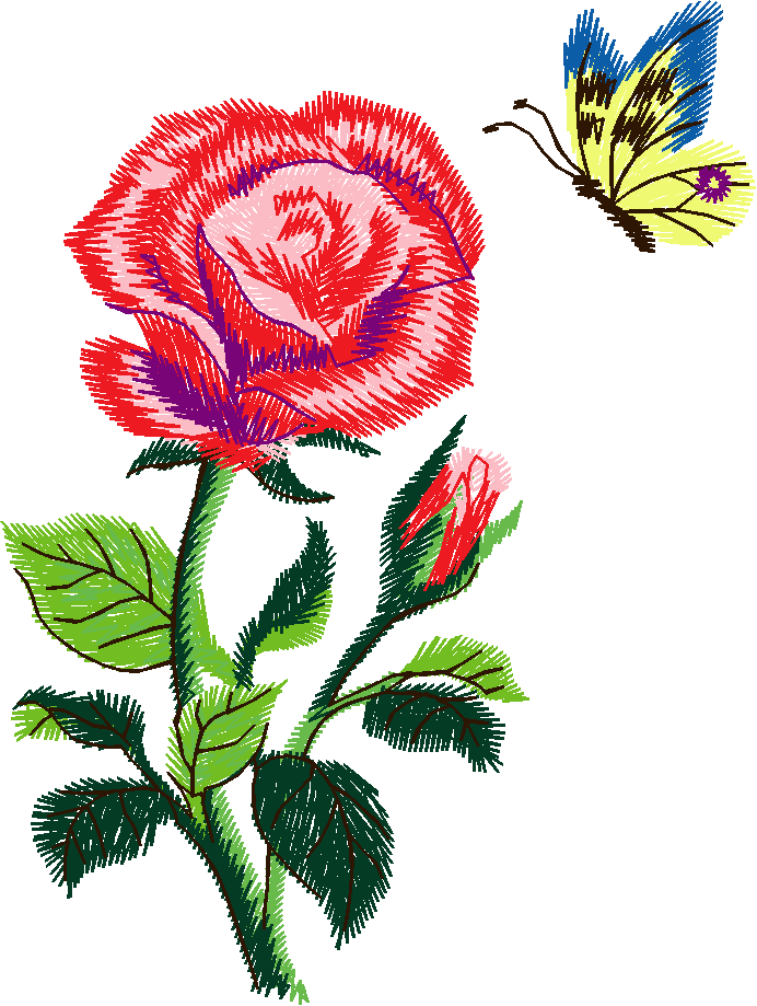 Butterflies 12  (18)