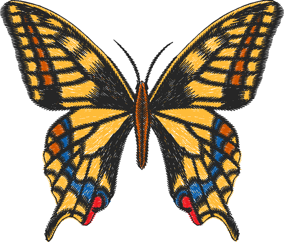 Butterflies 12  (2)