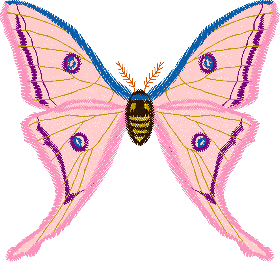 Butterflies 12  (3)