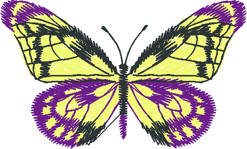 Butterflies 12  (9)