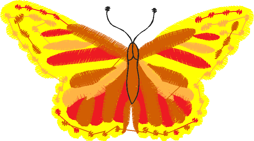 Butterflies 13  (13)