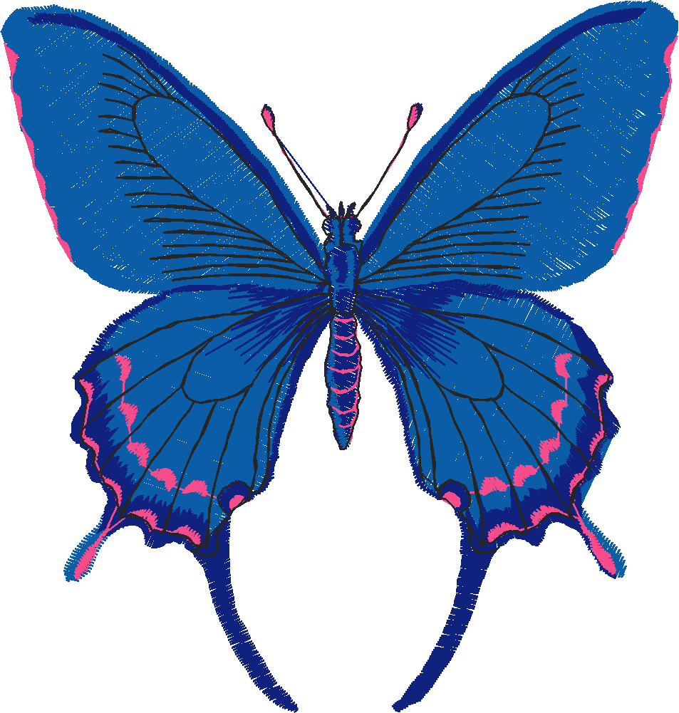 Butterflies 13  (2)