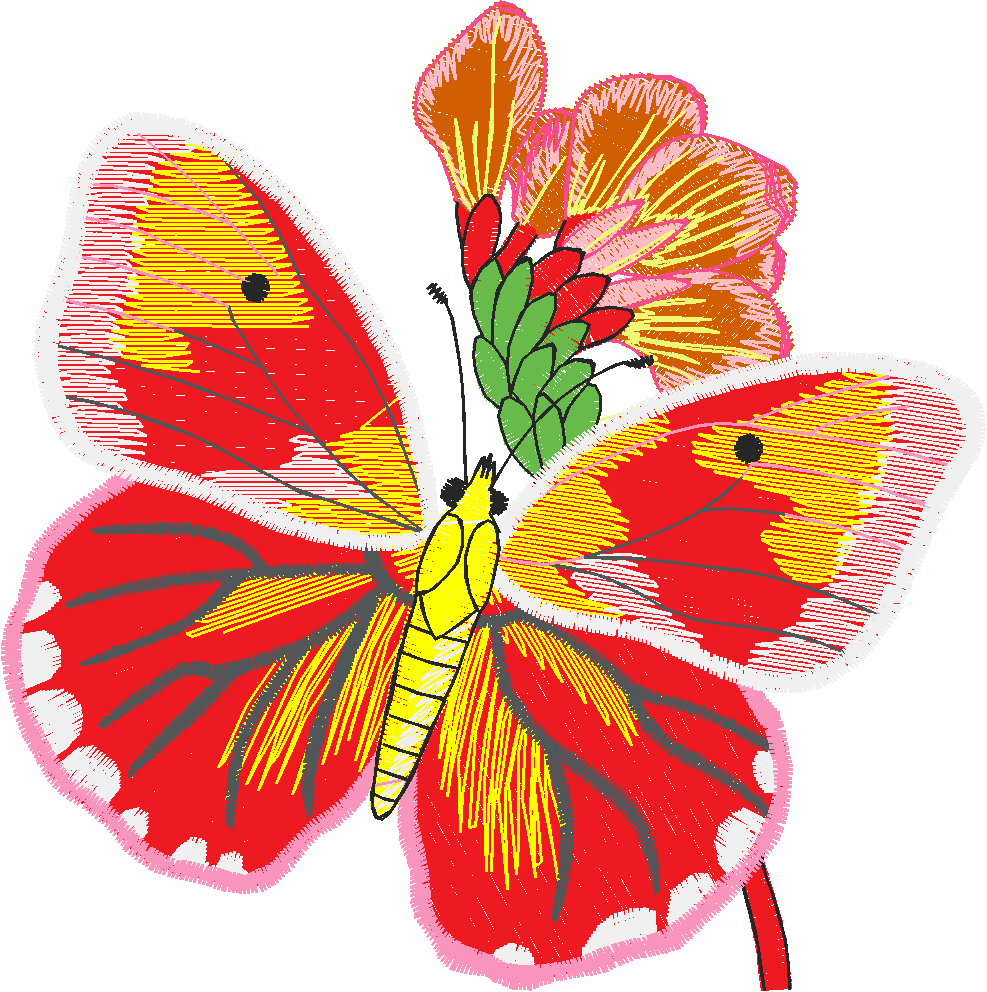 Butterflies 13  (44)