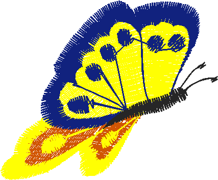 Butterflies 13  (5)