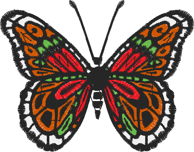 Butterflies 13  (9)