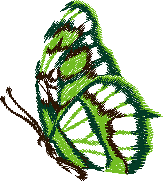 Butterflies 14  (6)