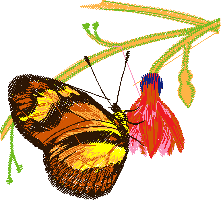 Butterflies 15  (13)