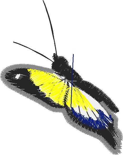 Butterflies 15  (18)