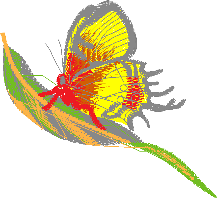 Butterflies 15  (2)