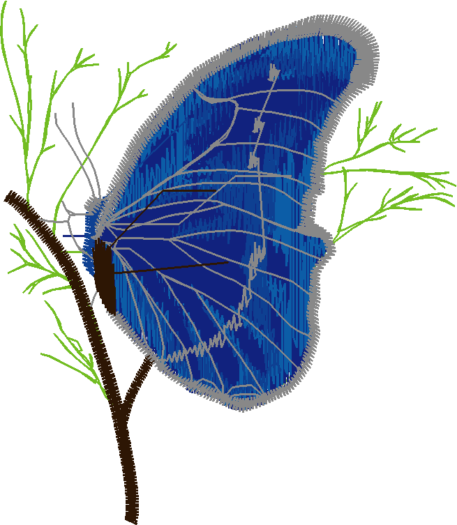 Butterflies 15  (6)