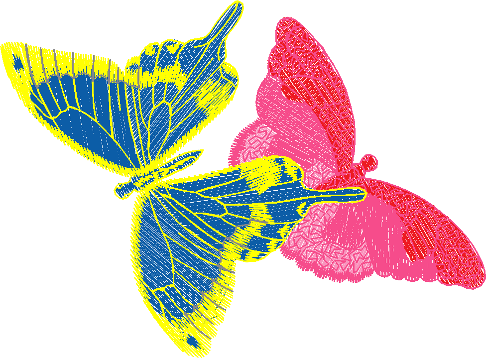 Butterflies 16  (10)
