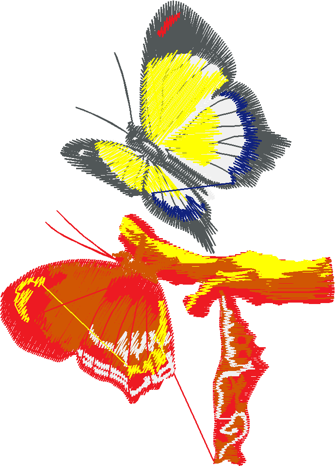Butterflies 16  (36)
