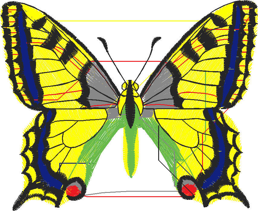 Butterflies 18 (105)