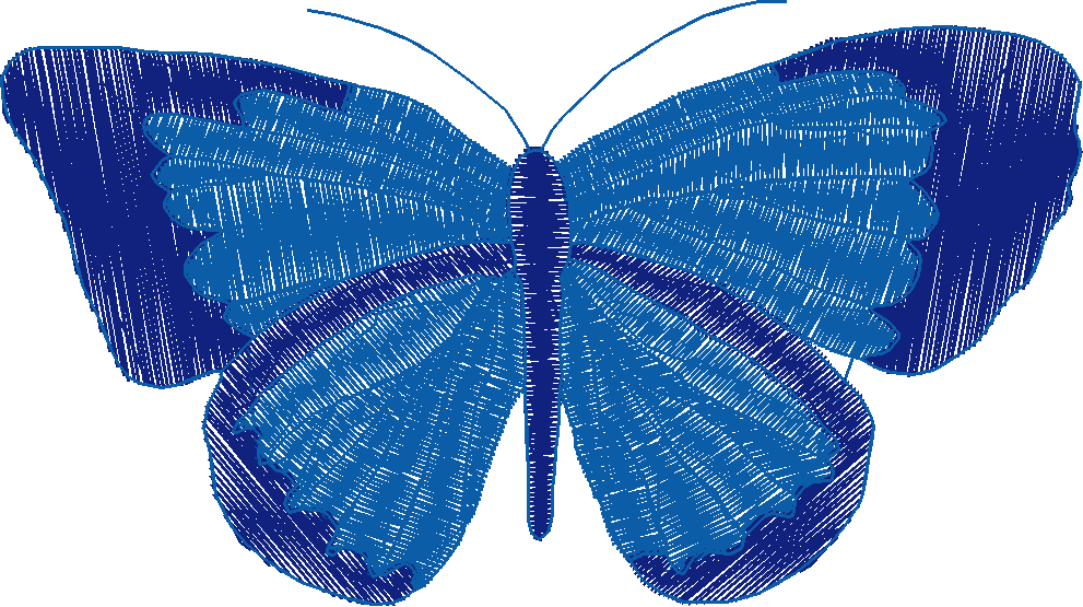 Butterflies 18 (107)