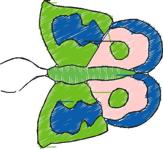 Butterflies 18 (13)