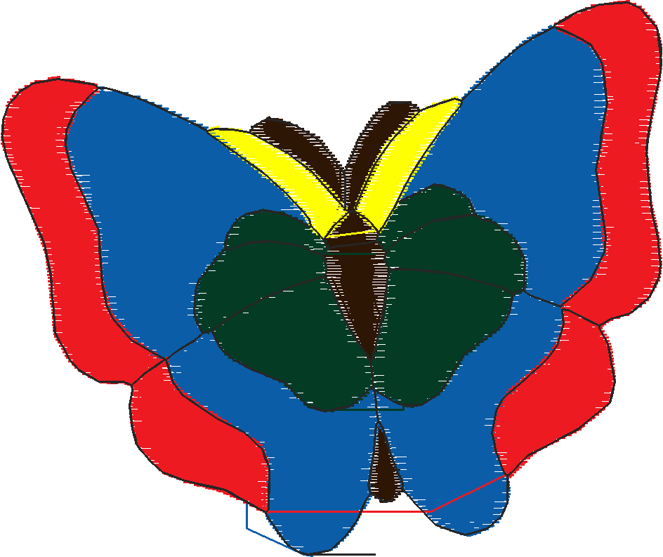 Butterflies 18 (137)