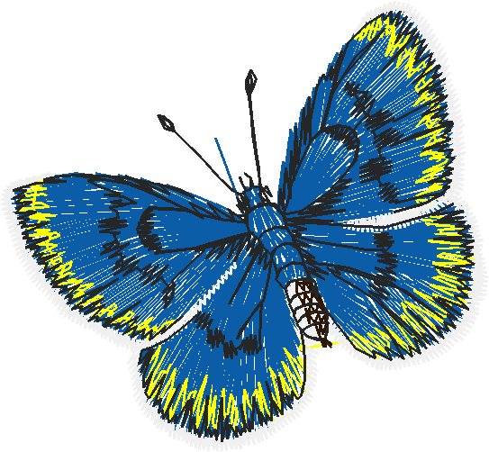 Butterflies 18 (162)