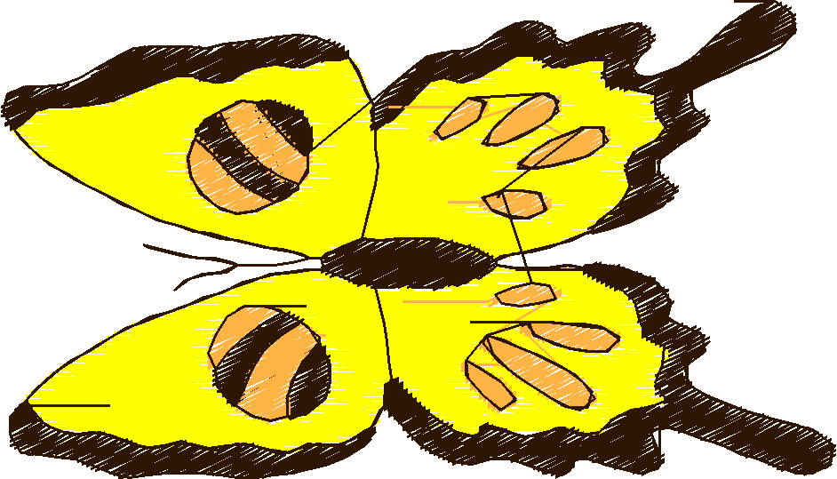 Butterflies 18 (17)
