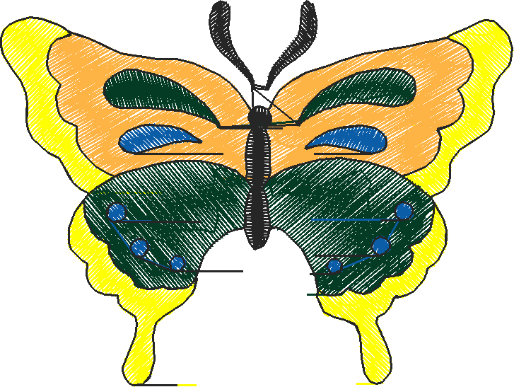 Butterflies 18 (171)