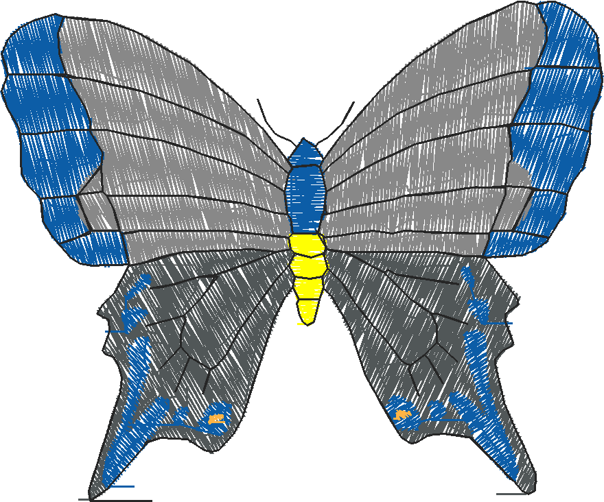 Butterflies 18 (179)