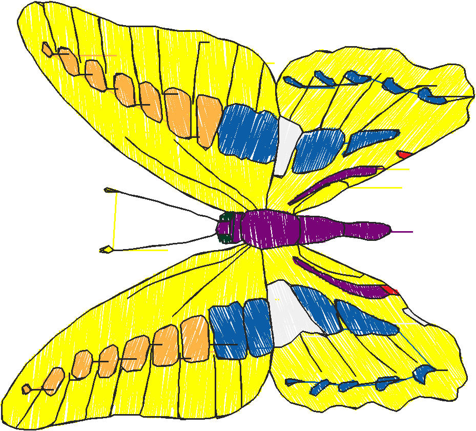 Butterflies 18 (187)