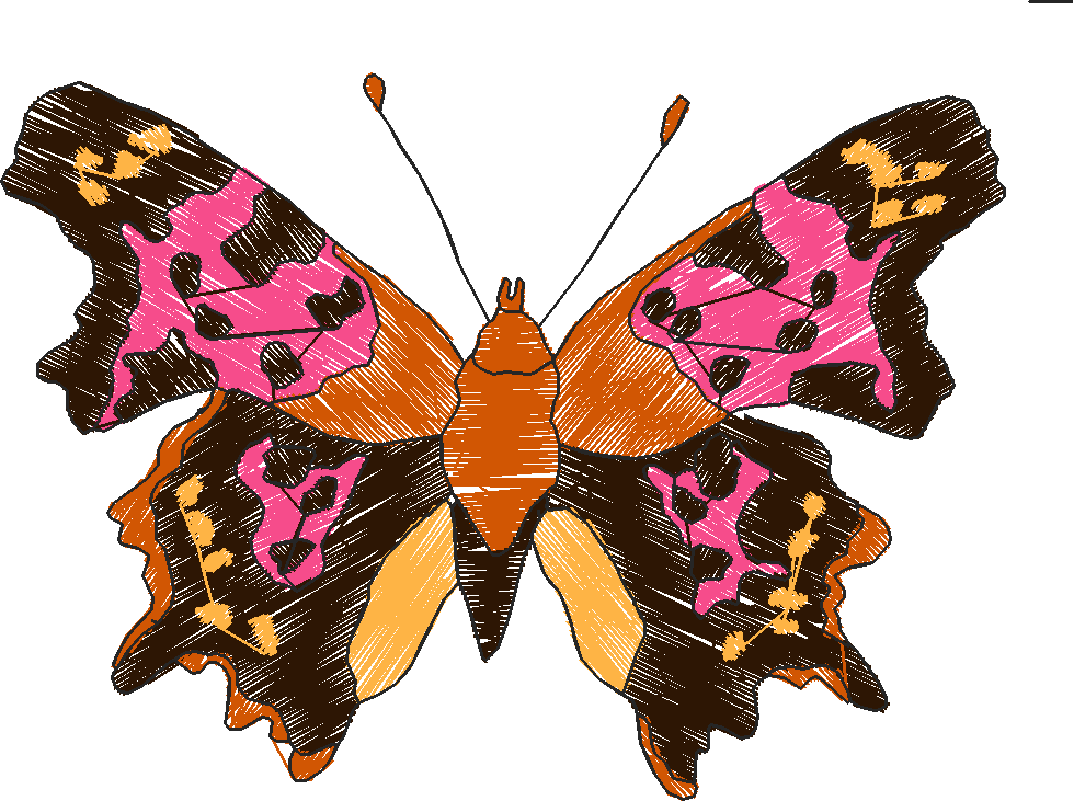 Butterflies 18 (199)