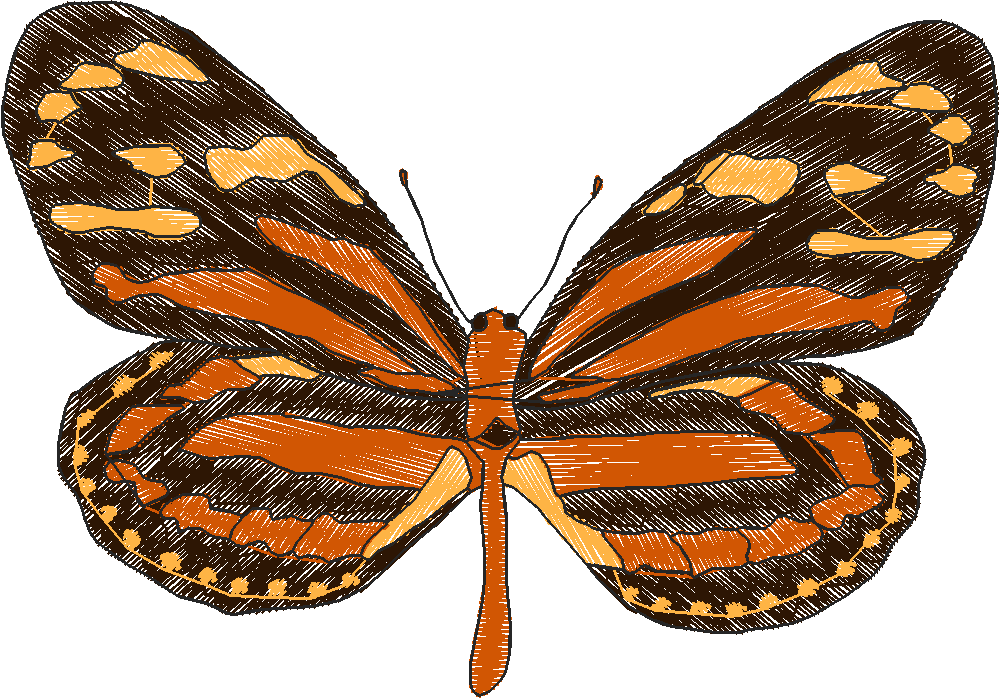 Butterflies 18 (208)