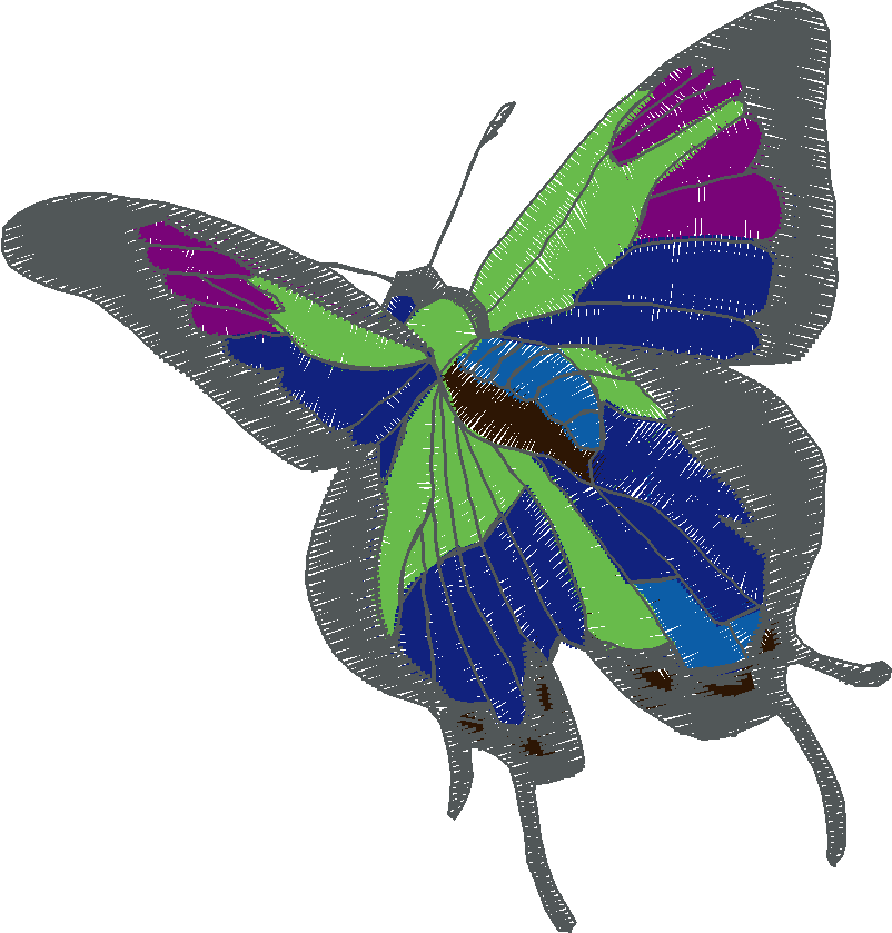 Butterflies 18 (216)