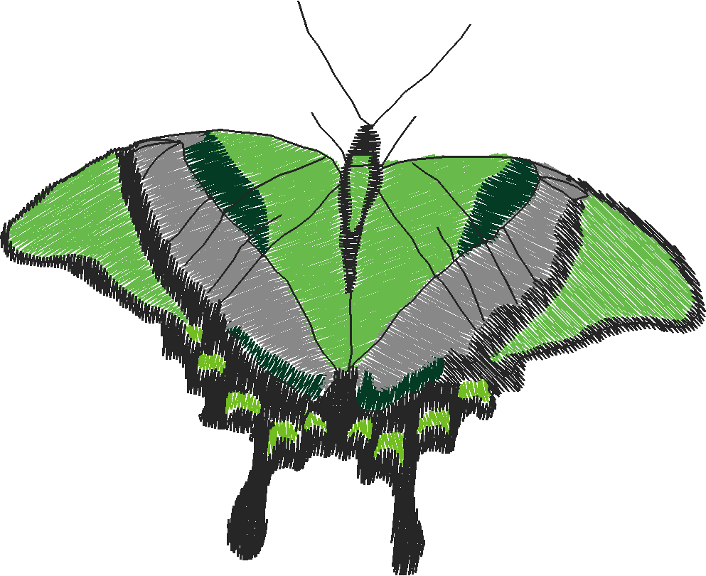 Butterflies 18 (232)