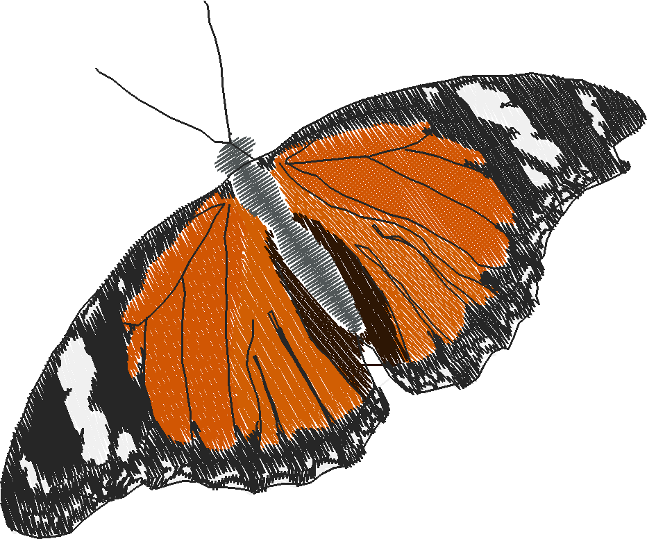 Butterflies 18 (236)