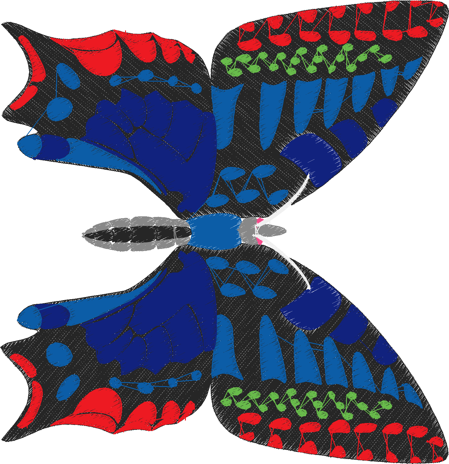 Butterflies 18 (24)