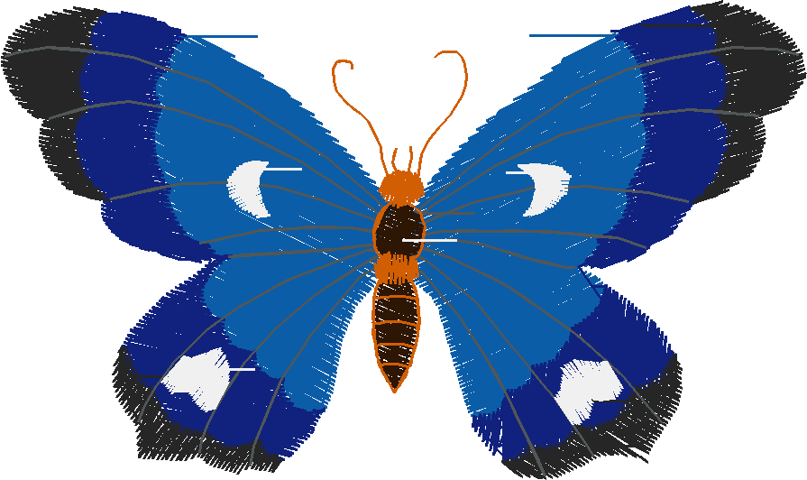 Butterflies 18 (41)