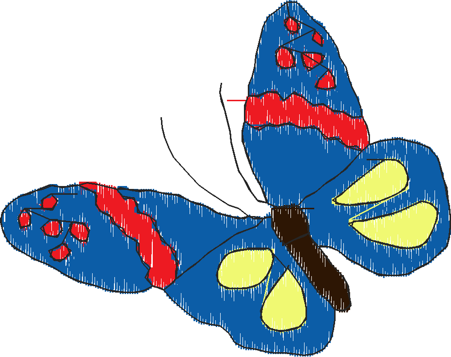 Butterflies 18 (5)