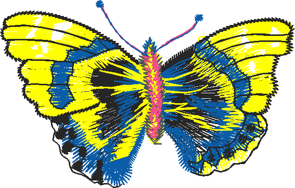 Butterflies 18 (53)