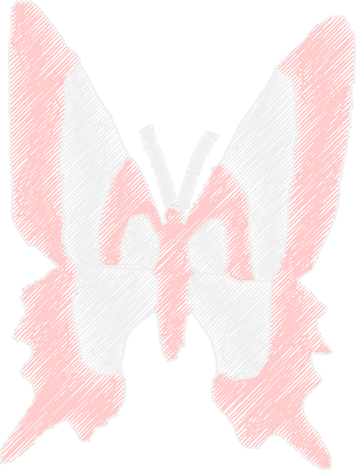 Butterflies 18 (58)