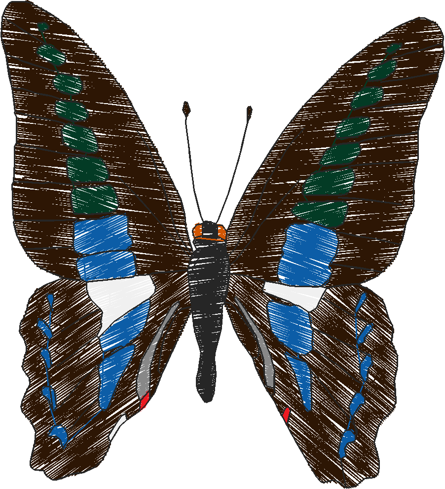 Butterflies 18 (82)