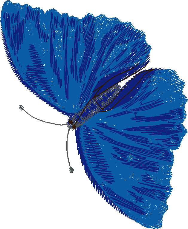 Butterflies 18 (83)