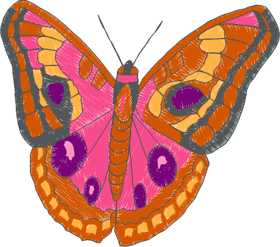 Butterflies 18 (87)