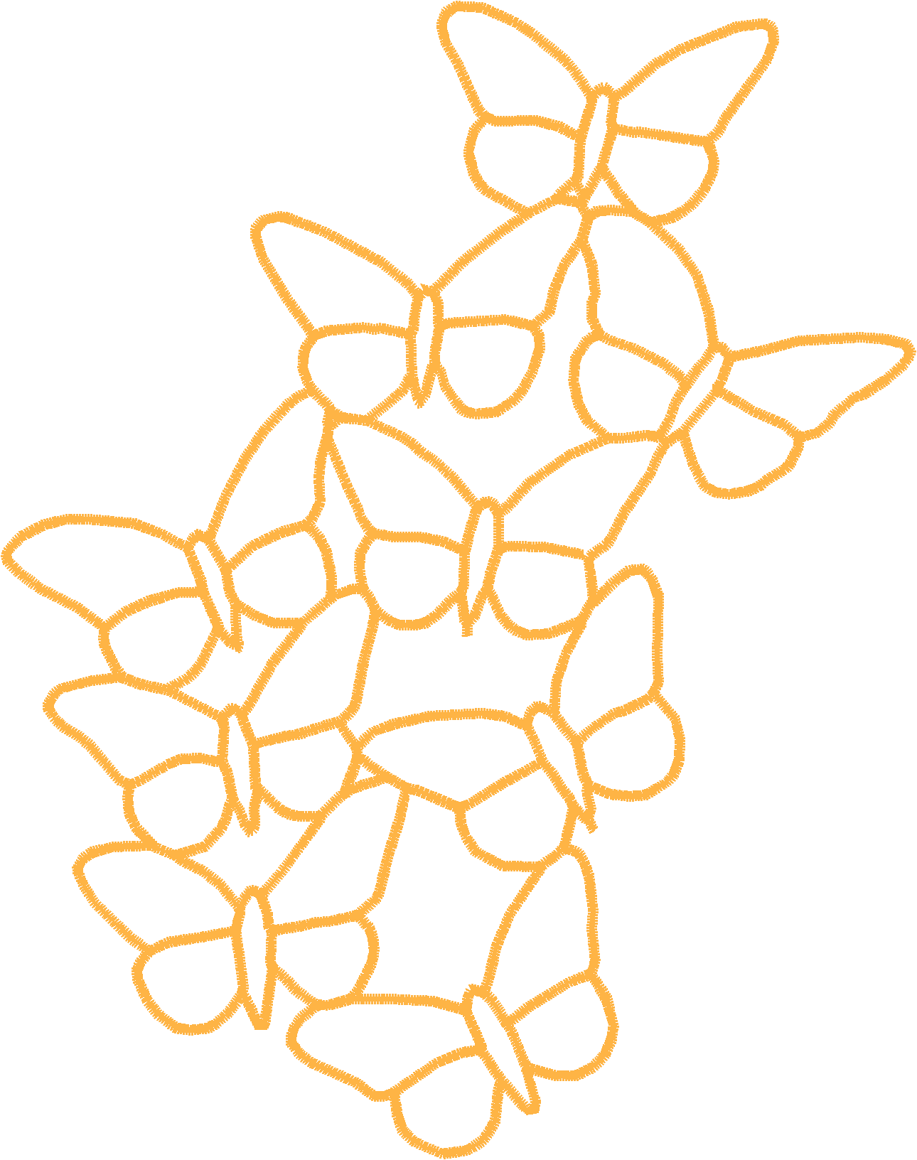 Butterflies 19  (14)