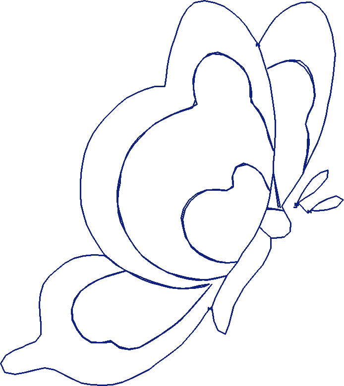 Butterflies 19  (19)