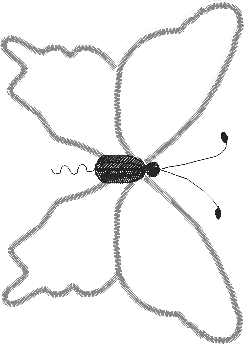 Butterflies 19  (2)