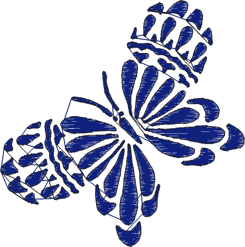 Butterflies 19  (4)