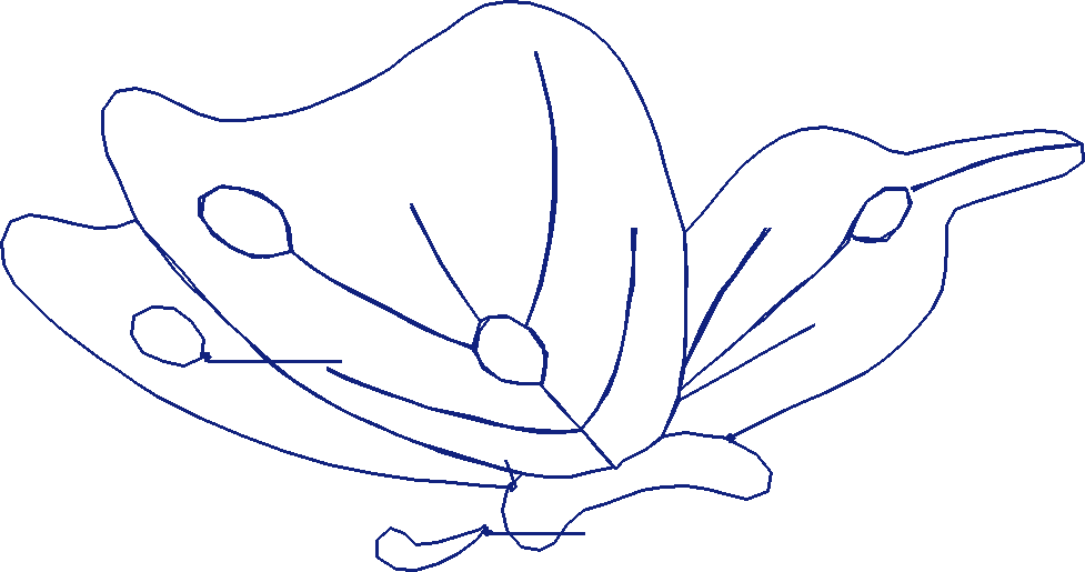 Butterflies 19  (60)