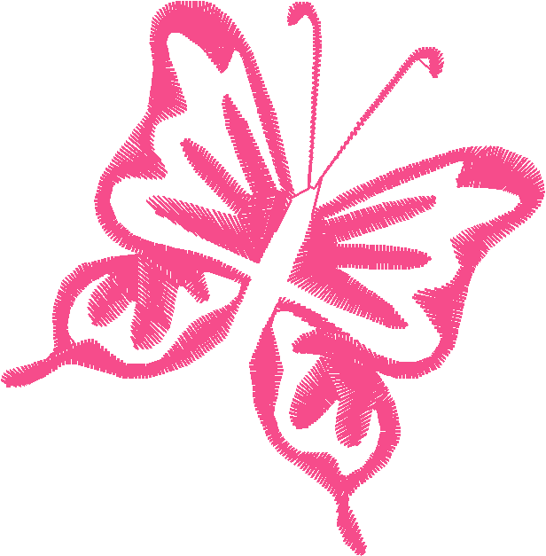 Butterflies 19  (64)