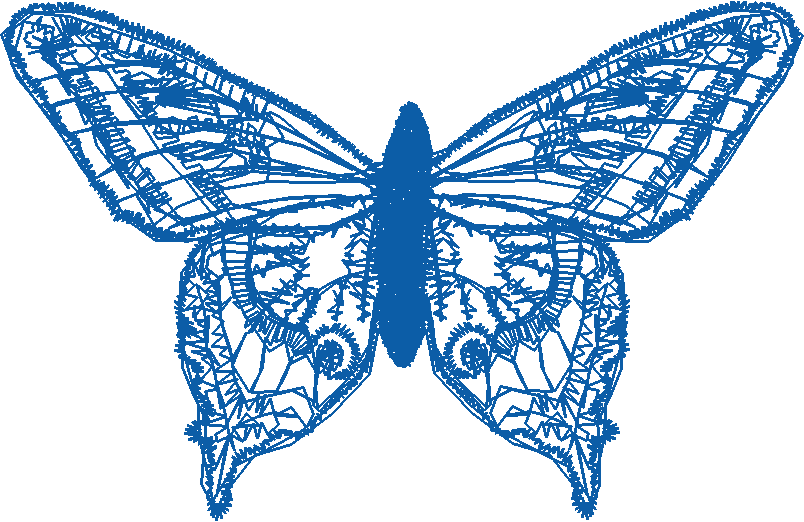 Butterflies 19  (66)