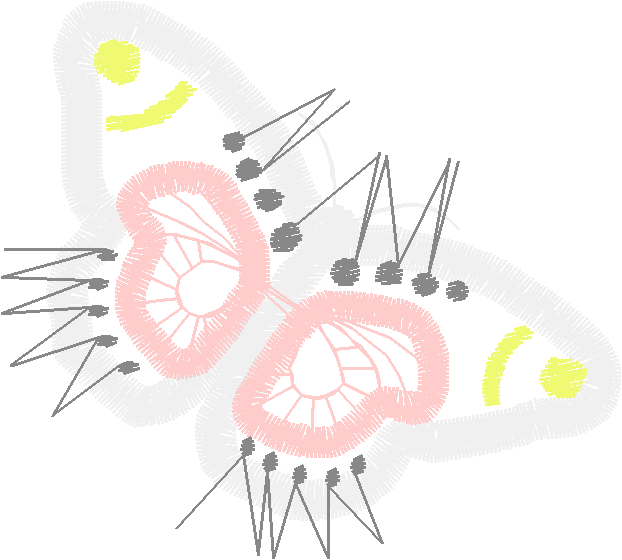 Butterflies 19  (71)